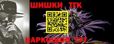 МДПВ Партизанск