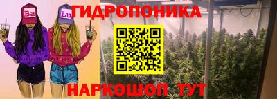 МДПВ Партизанск