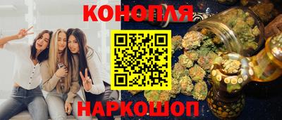 МДПВ Партизанск
