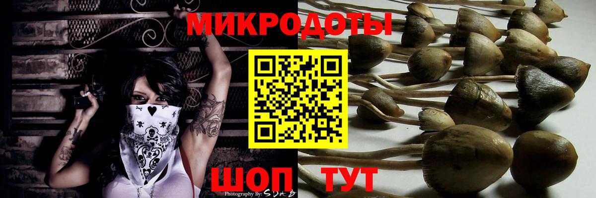 Псилоцибиновые грибы Psilocybe  Вход с VPN  Скопин 